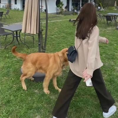 伴游女王
